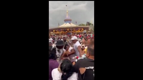 Huge Fight Breaks Out At The 'Happiest Place On Earth'