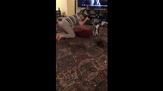 Cat Incredibly Consoles Boy With Special Needs During Meltdown