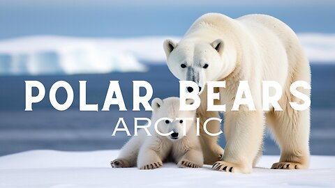 Arctic Calm: Polar Wonders and Icy Serenity