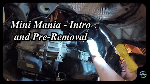 Mini Mania - Episode 1 - Intro and Pre-Removal