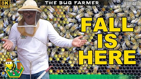 The Fall Fix | Saw mistakes in the edit and went back to correct. #bees #beekeeping