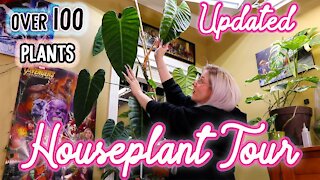 Houseplant Tour | 100+ Indoor Plants In My Bedroom