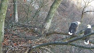 Hays Eagles M and V mate on the escalator! 11-30-2023 8:47am