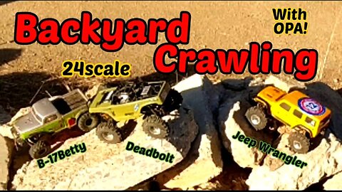 Backyard Crawling 24scale with OPA