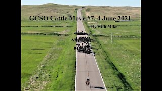 Cattle Move #7 4 June 21, Fly with Mike