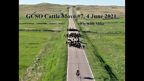 Cattle Move #7 4 June 21, Fly with Mike