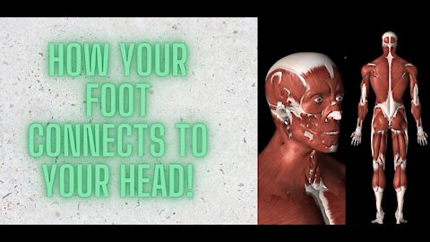 HOW YOUR FOOT IS CONNECTED TO YOUR HEAD!