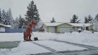 T-Rex shovels snow like a pro