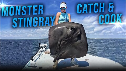 GIANT Stingray Catch & Cook - Shocking Results!