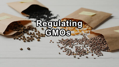 Combating the Release of Genetically Engineered Microbes and Advocating for Responsible Regulation