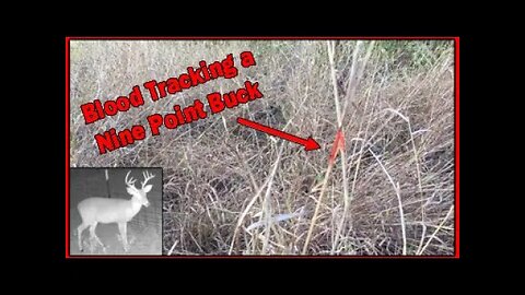 vLog - Deer Hunt and Blood Tracking Two Bucks