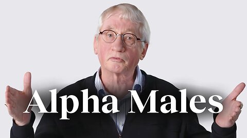 The ‘alpha male’ myth, debunked | Frans de Waal