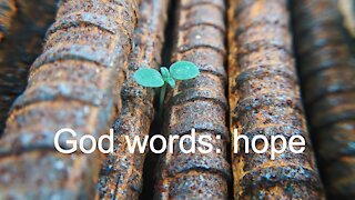 God words: hope