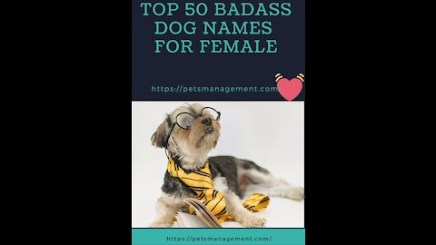 TOP 50 Badass Dog Names For Female