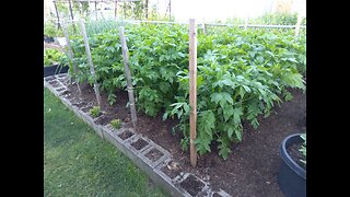 Garden Update 5/27/23