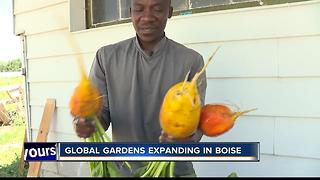 City of Boise making room for refugee gardens