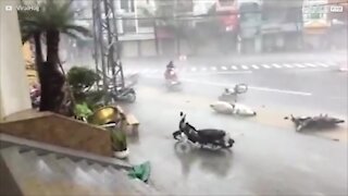 L'ouragan Damrey débarque violemment au Vietnam