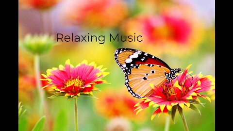 Relaxing music for stress relief during work . soft music for improve moods and boost happiness