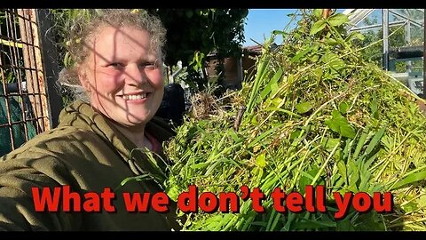 The Secret weeding of A No DIG Allotment Garden