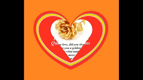 Good morning my love, I brought a golden rose, I love you so much! [Message] [Quotes and Poems]
