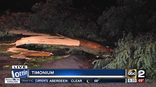 Teen dead after tree falls on car during storm