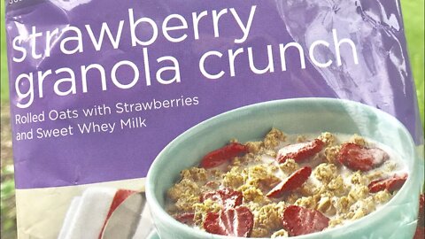Wise Foods Dessert Dish Strawberry Granola Crunch by Wise Company Review