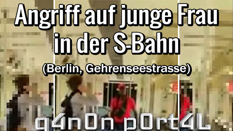 S-BAHN - ANGRIFF AUF JUNGE FRAU | Q4N0N P0RT4L