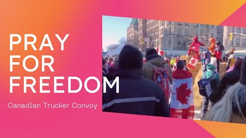 Faces of the Convoy -Amazing Canadians (a Beautiful Montage): Freedom Convoy 2022
