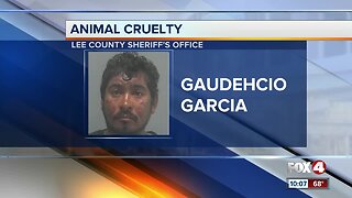 Man accused of kicking his dog in Fort Myers