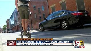 Rentable electric Bird scooters pop up Downtown overnight