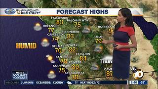 10News Pinpoint Weather with Melissa Mecija