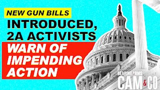 New Gun Bills Introduced In House As 2A Activists Warn Of Impending Action