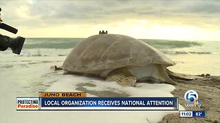 Loggerhead Marinelife Center in Juno Beach receives national attention