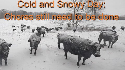 Cold and Snowy Day: Chores still need to be done