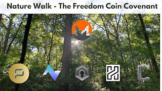 Nature Walk - The Freedom Coin Covenant