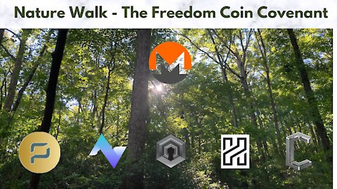 Nature Walk - The Freedom Coin Covenant