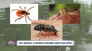 WNY rainfall is raising concerns about bug bites