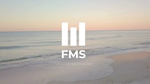 FMS - Free Non Copyright EDM Music #007