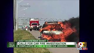 Kia fires prompt calls for investigation