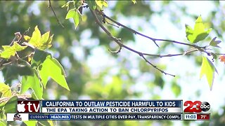 California to outlaw pesticide