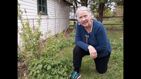 The Journey of a Lifelong Herbalist - Interview with Carol McGrath