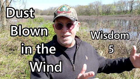 Dust Blown in the Wind: Wisdom 5