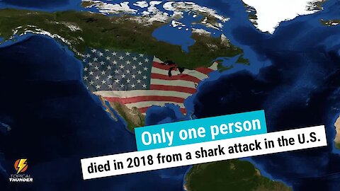 Shocking shark attack facts!