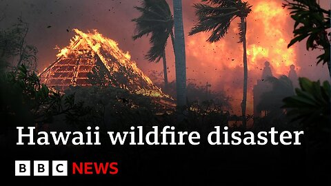 Hawaii deadly wildfires cause catastrophic damage