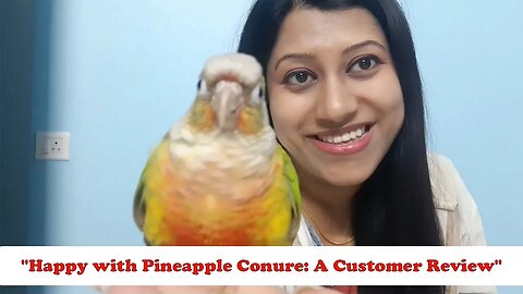 "Happy with Pineapple Conure: A Customer Review" l #pineappleconure l @BikisAviary