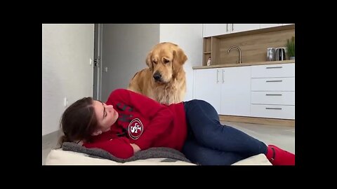 Stealing my dogies be.Funny video dog reactionn
