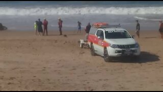 SOUTH AFRICA - Durban - Tourist drowns at beach (Videos) (kF6)