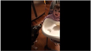 Baby shares treats with her doggy pal