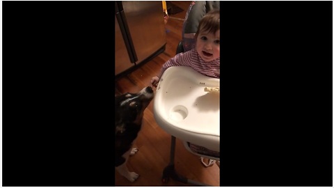 Baby shares treats with her doggy pal
