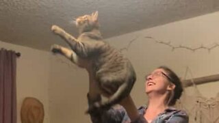 Owner helps her cat catch a moth